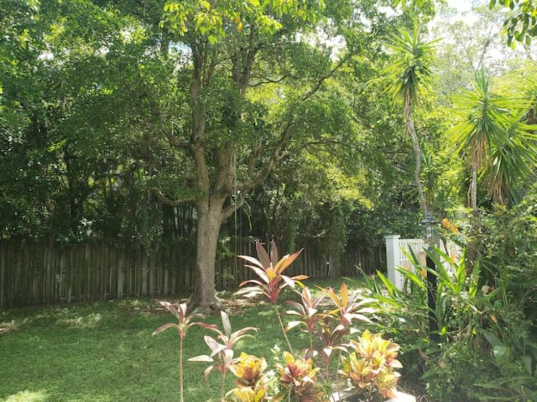 Apts With Backyard Near Fort Lauderdale Beach, Nightlife, Cruise Port, Airport Екстер'єр фото